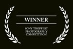 Sony Tropfest Photography Competition